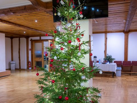 Koncerts Priekuļos 07.12.2024.