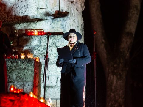 Lāčplēša diena Liepā (11.11.2024.)