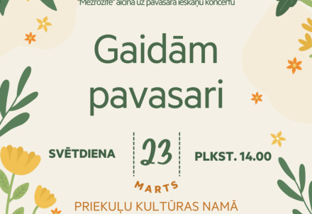Dāmu deju grupas "Mežrozīte" un draugu koncerts