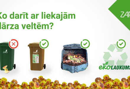 Ko darīt ar pāri palikušajām dārza veltēm? Izvēlies atbildīgi!