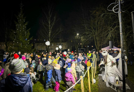 Liepā iemirdzējusies Ziemassvētku egle