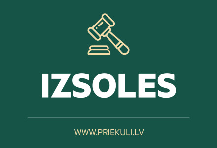 Nekustamo īpašumu elektroniskās izsoles