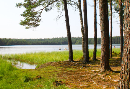 Pārbaudīta ūdens kvalitāte ezeros