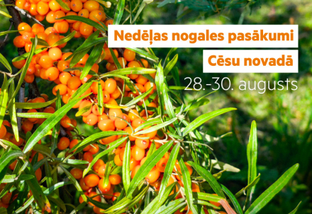 Nedēļas nogales pasākumi Cēsu novadā 28.08. – 30.08.